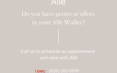 What is Alle?