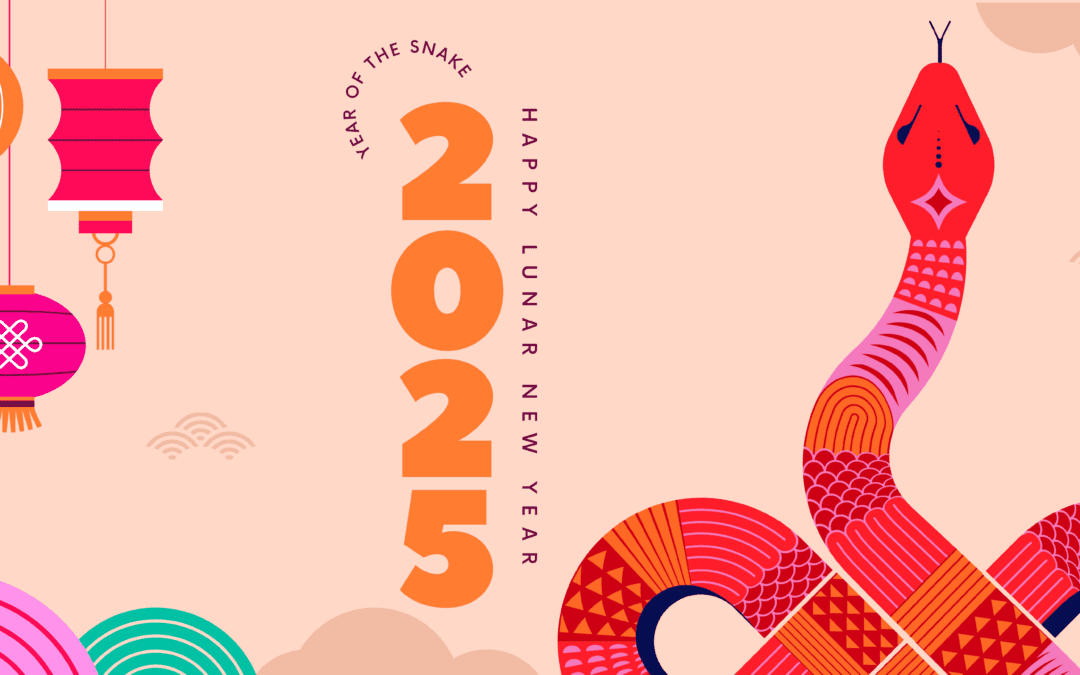 DSC Lunar New Year 2025 Year of the Snake Blog Banner with light pink background and graphic snake on the right with DSC logo in upper right corner and lanterns on the upper left with 2025 vertically down the center