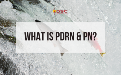 What is PDRN and PN?